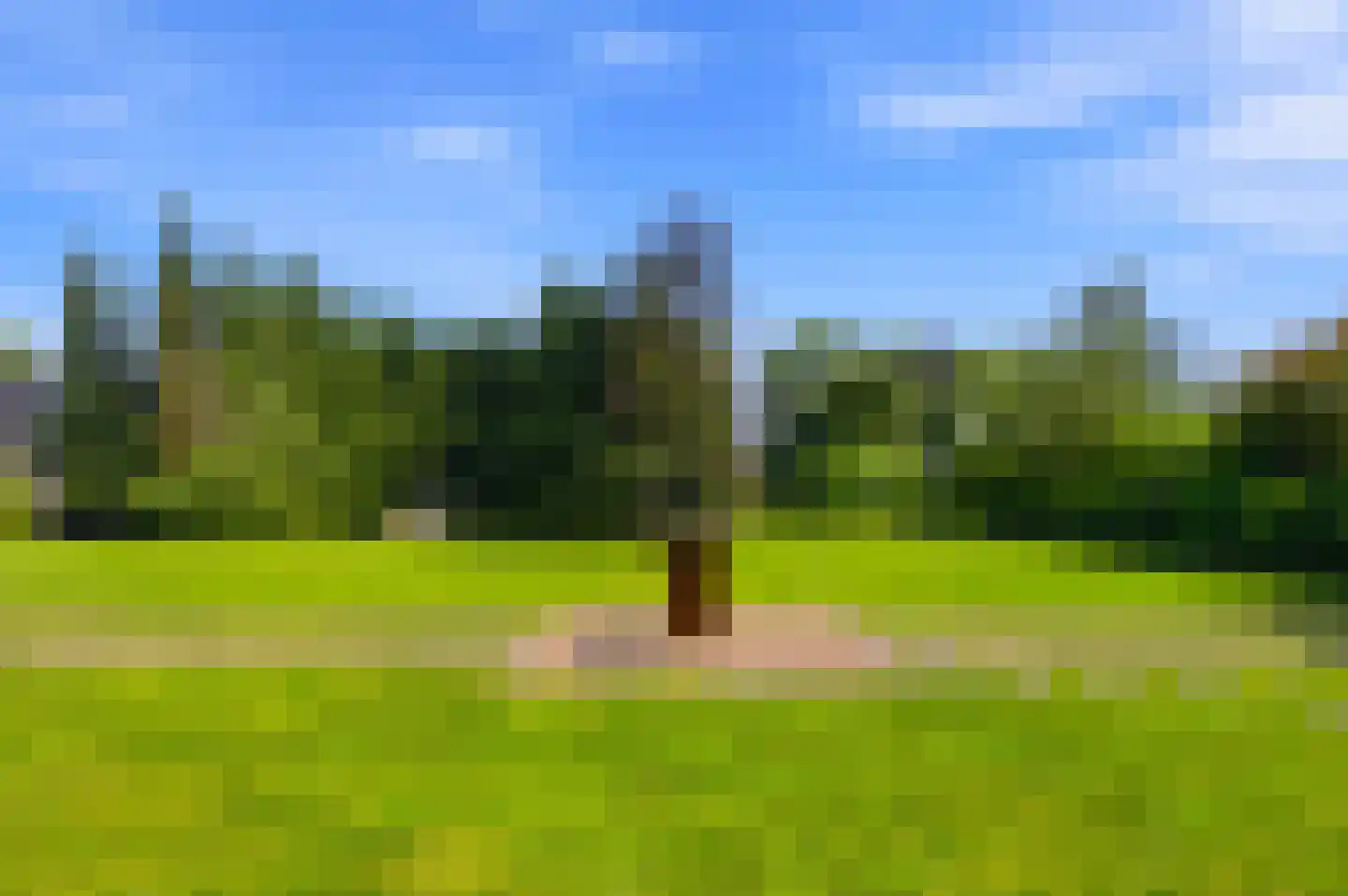 Sambeekseweg 21 Boxmeer thumbnail 44