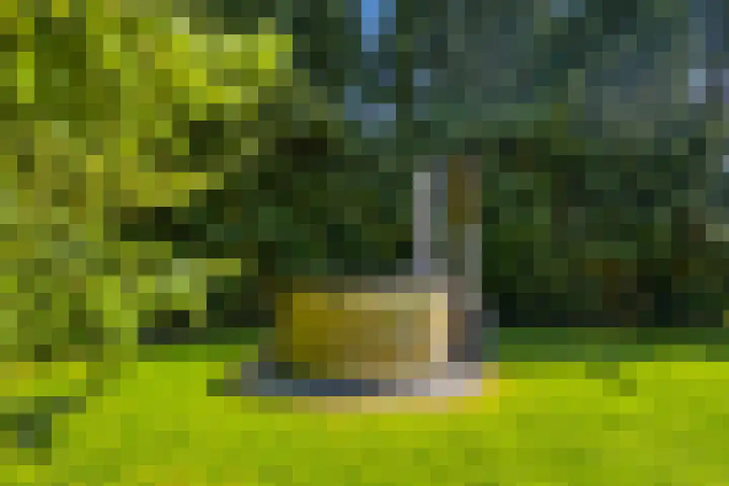 Sambeekseweg 21 Boxmeer thumbnail 46