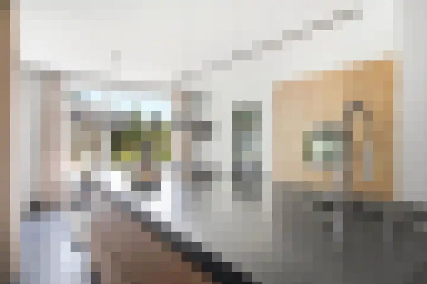 Sambeekseweg 21 Boxmeer thumbnail 5