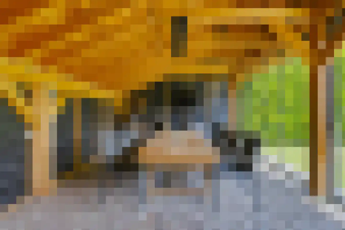 Sambeekseweg 21 Boxmeer thumbnail 51