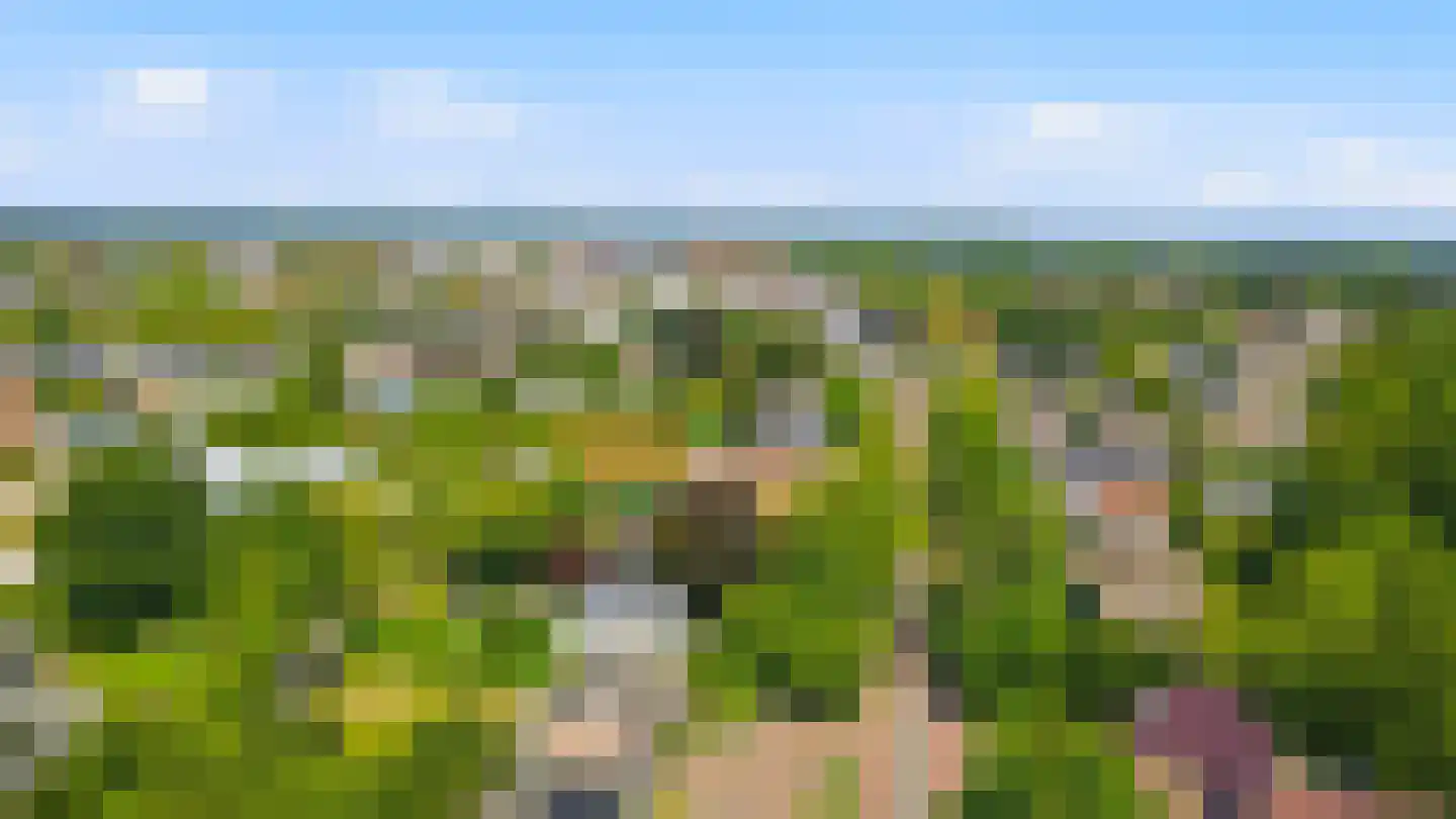 Sambeekseweg 21 Boxmeer thumbnail 56