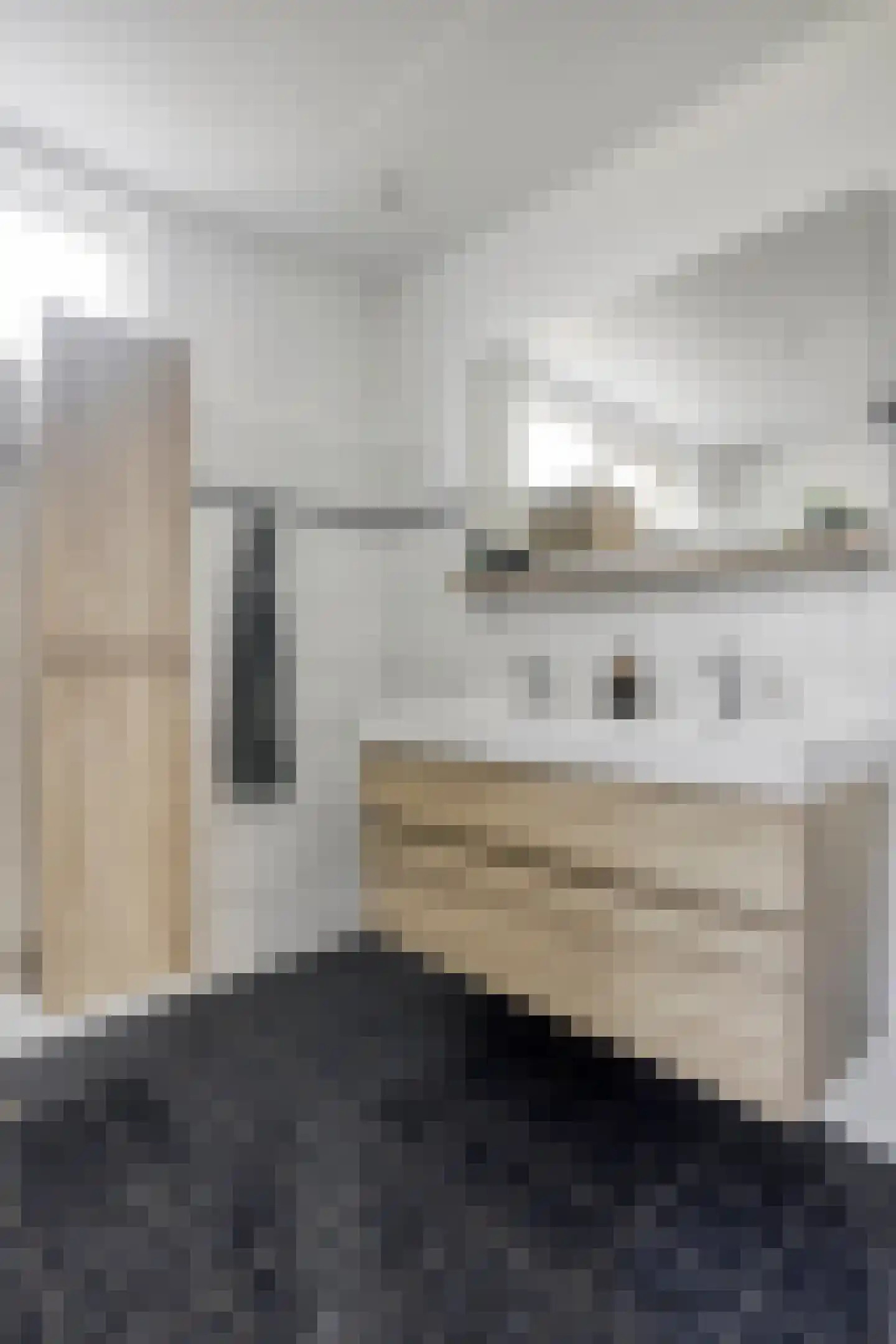 Sambergweg 24 Winterswijk thumbnail 24