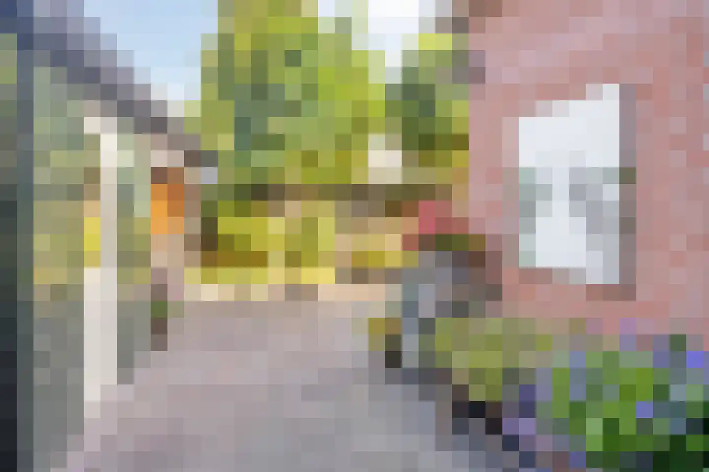Sambergweg 24 Winterswijk thumbnail 37
