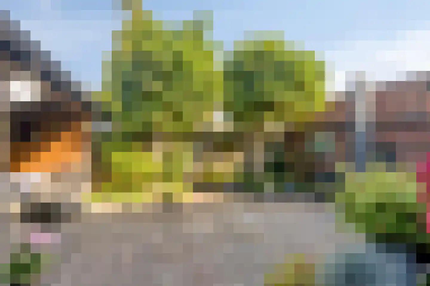 Sambergweg 24 Winterswijk thumbnail 38