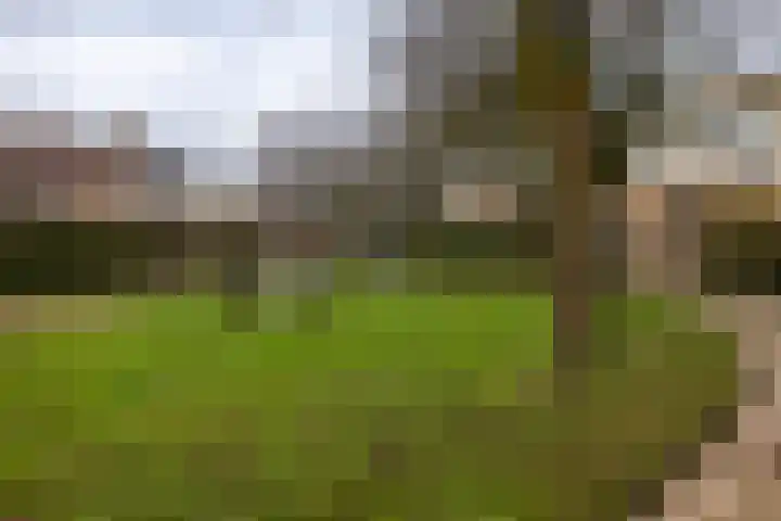 Sambredal 53 Doetinchem thumbnail 46