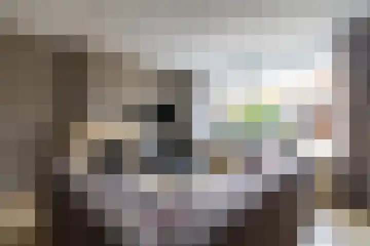 Sambredal 53 Doetinchem thumbnail 5
