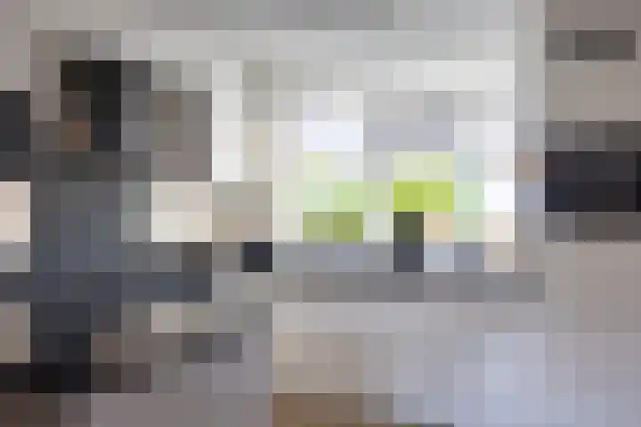 Sambredal 53 Doetinchem thumbnail 8