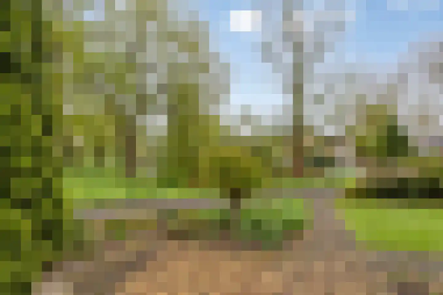 Sambrestraat 17 Assen thumbnail 11