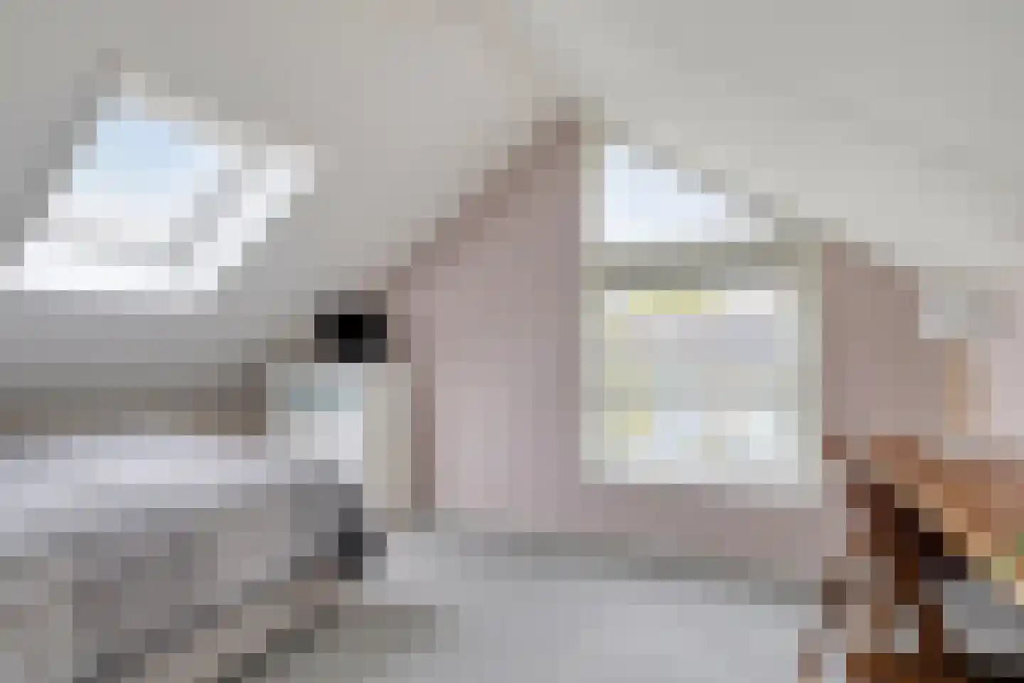 Sambrestraat 17 Assen thumbnail 34