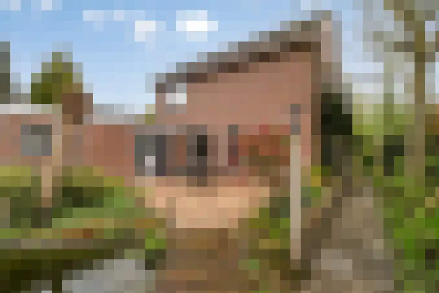 Sambrestraat 17 Assen thumbnail 37