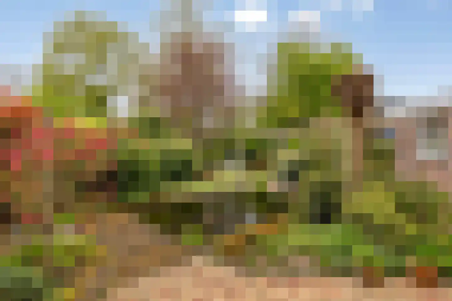 Sambrestraat 17 Assen thumbnail 38
