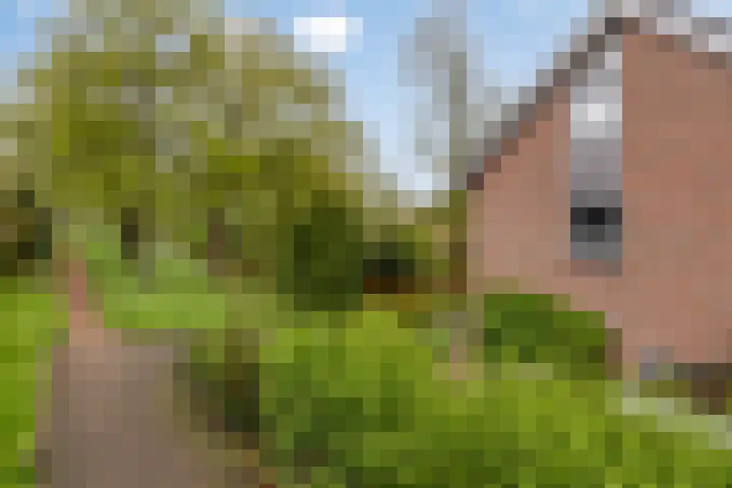 Sambrestraat 17 Assen thumbnail 47