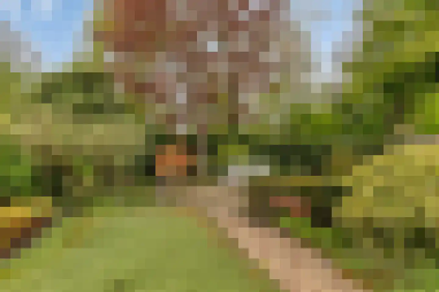Sambrestraat 17 Assen thumbnail 6