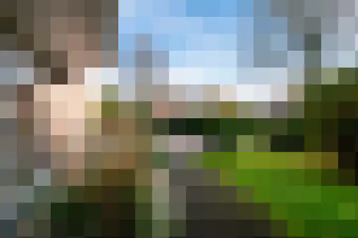 Sambrestraat 24 Assen thumbnail 5