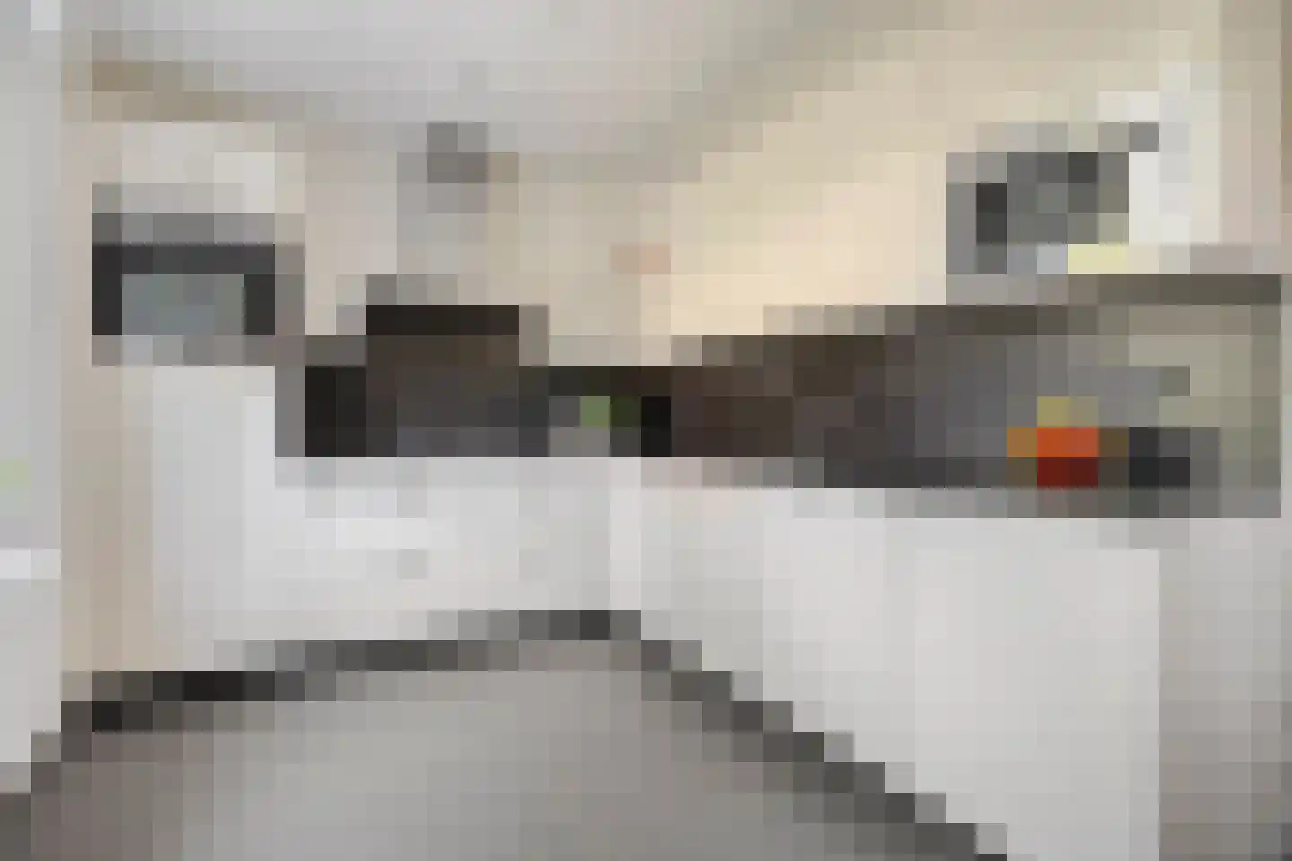 Sambrestraat 31 Assen thumbnail 18