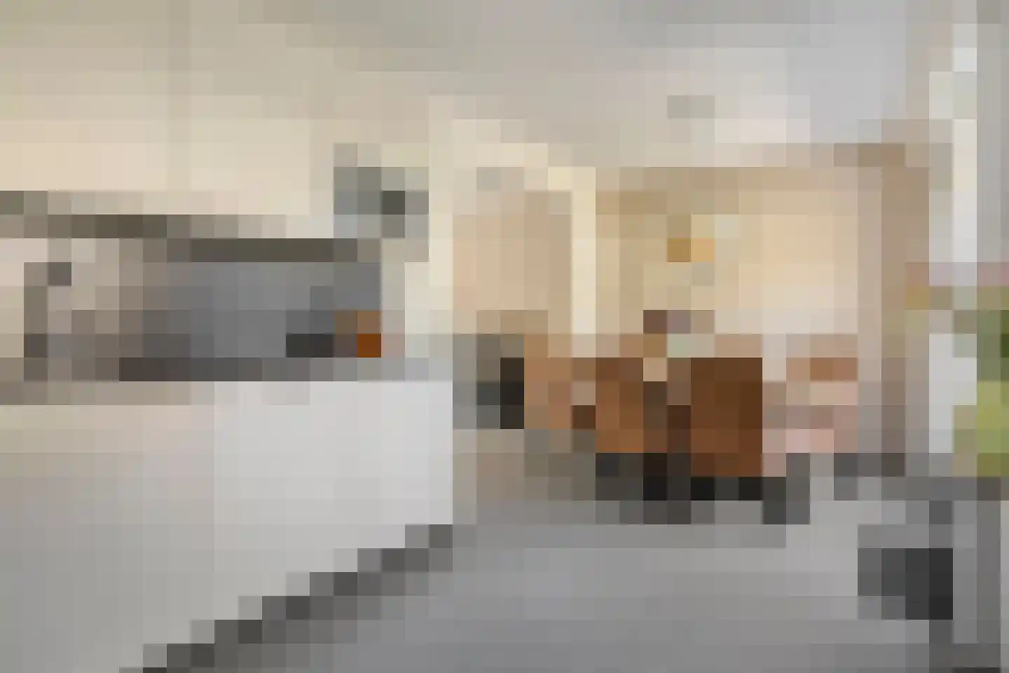 Sambrestraat 31 Assen thumbnail 20