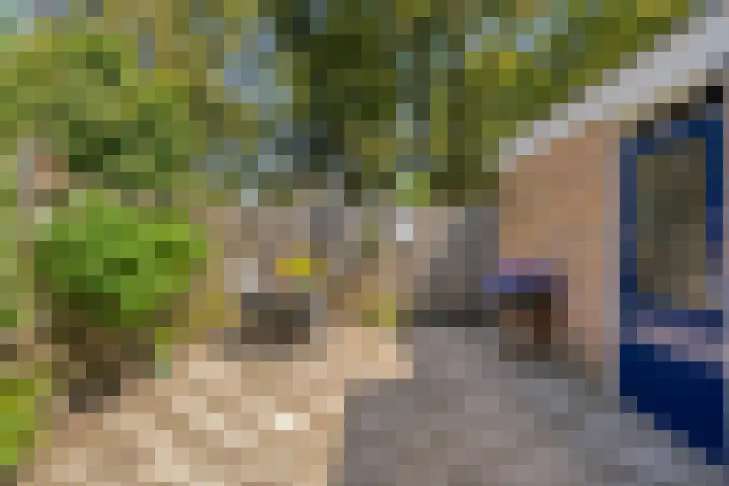Sambrestraat 31 Assen thumbnail 32