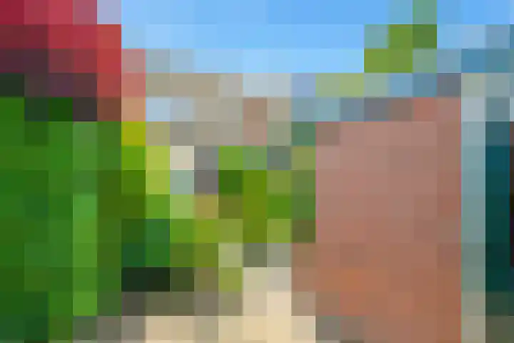 Sambrestraat 4 Heemskerk thumbnail 38