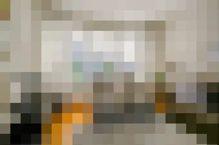 Sambrestraat 4 Heemskerk thumbnail 7