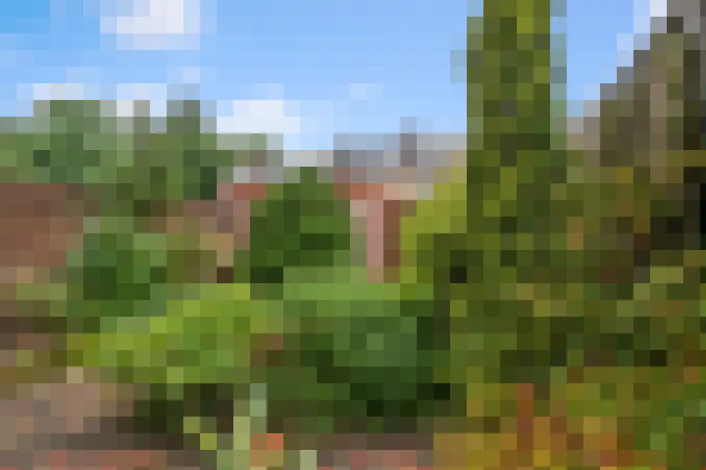 Sambrestraat 8 Heemskerk thumbnail 14