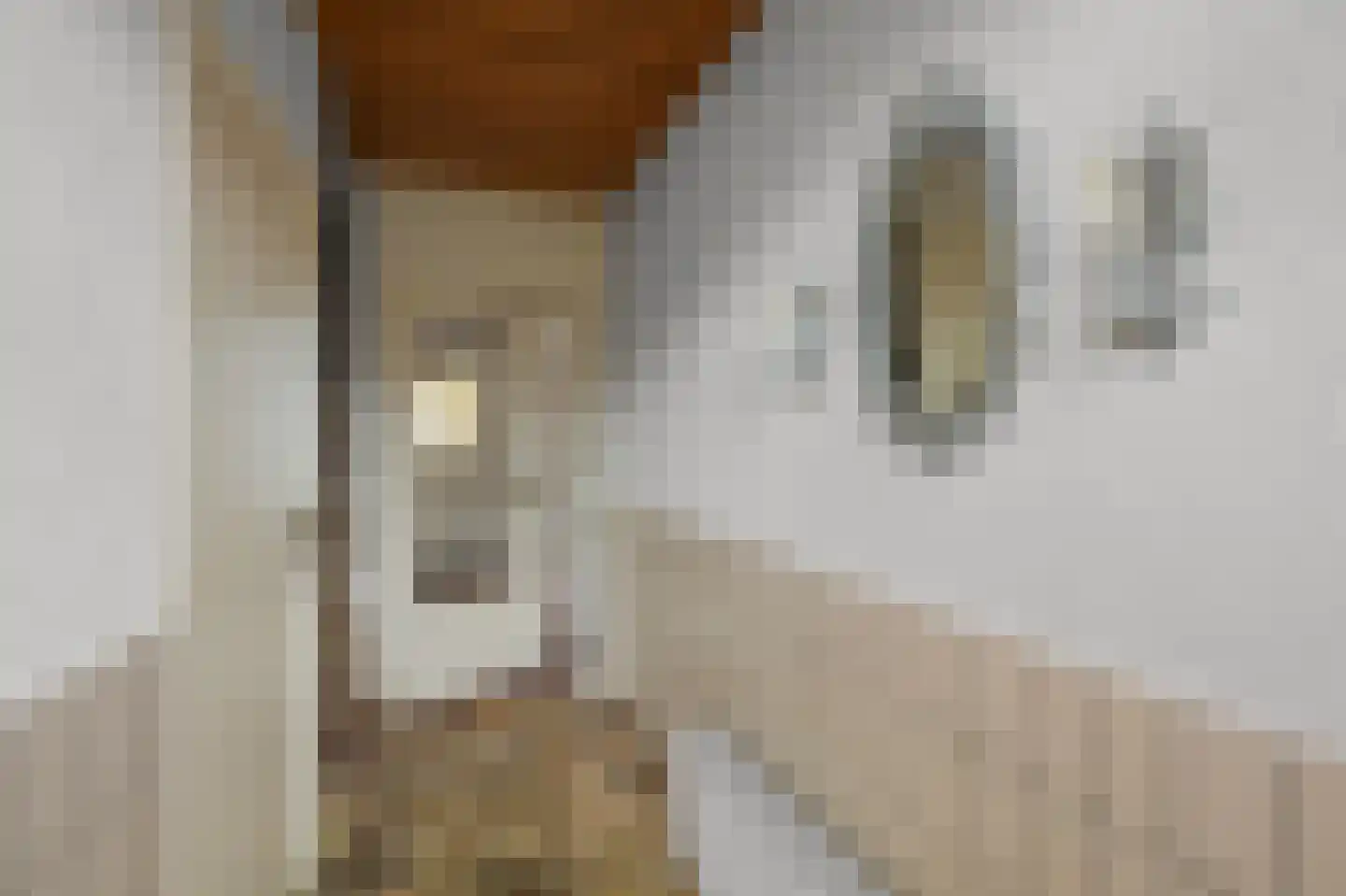 Sambrestraat 8 Heemskerk thumbnail 15