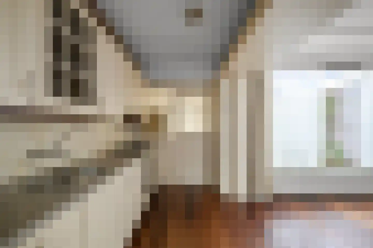 Sambrestraat 8 Heemskerk thumbnail 8