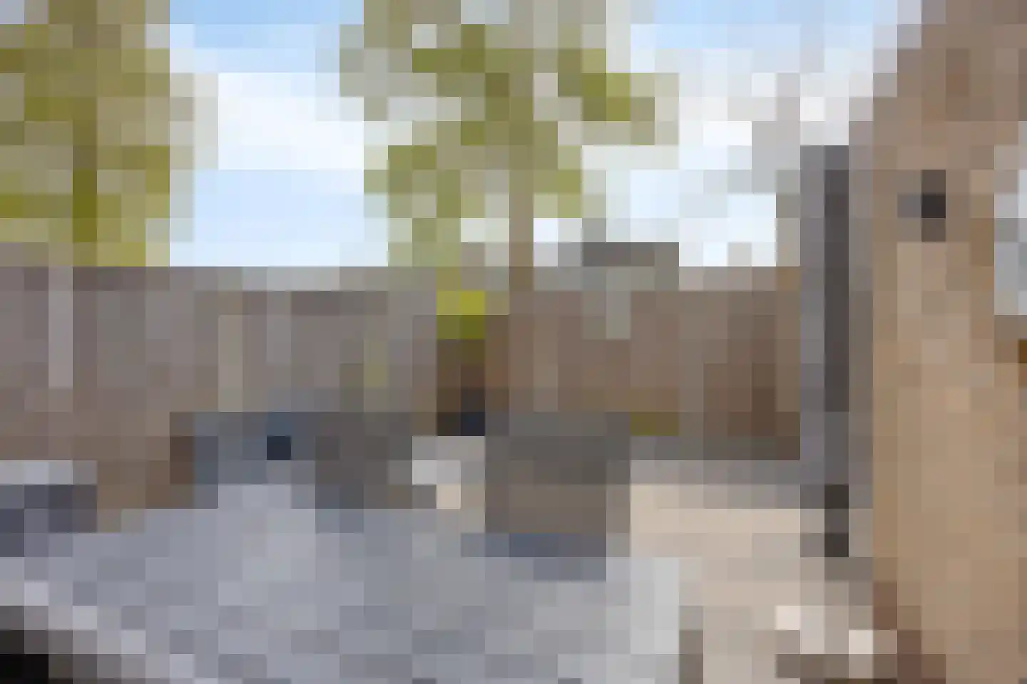 Samenwerking 27 Amsterdam thumbnail 20