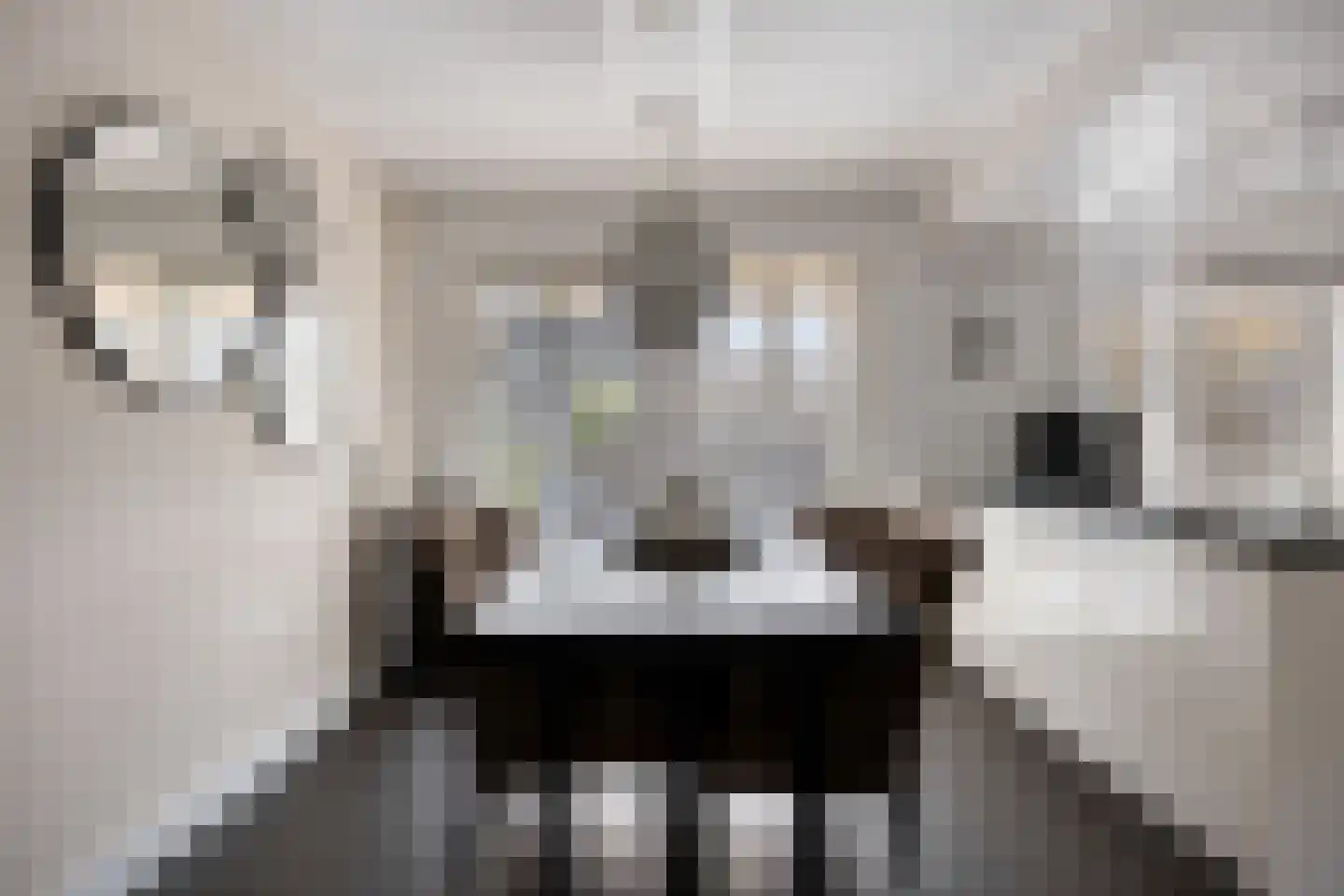 Samenwerking 27 Amsterdam thumbnail 8