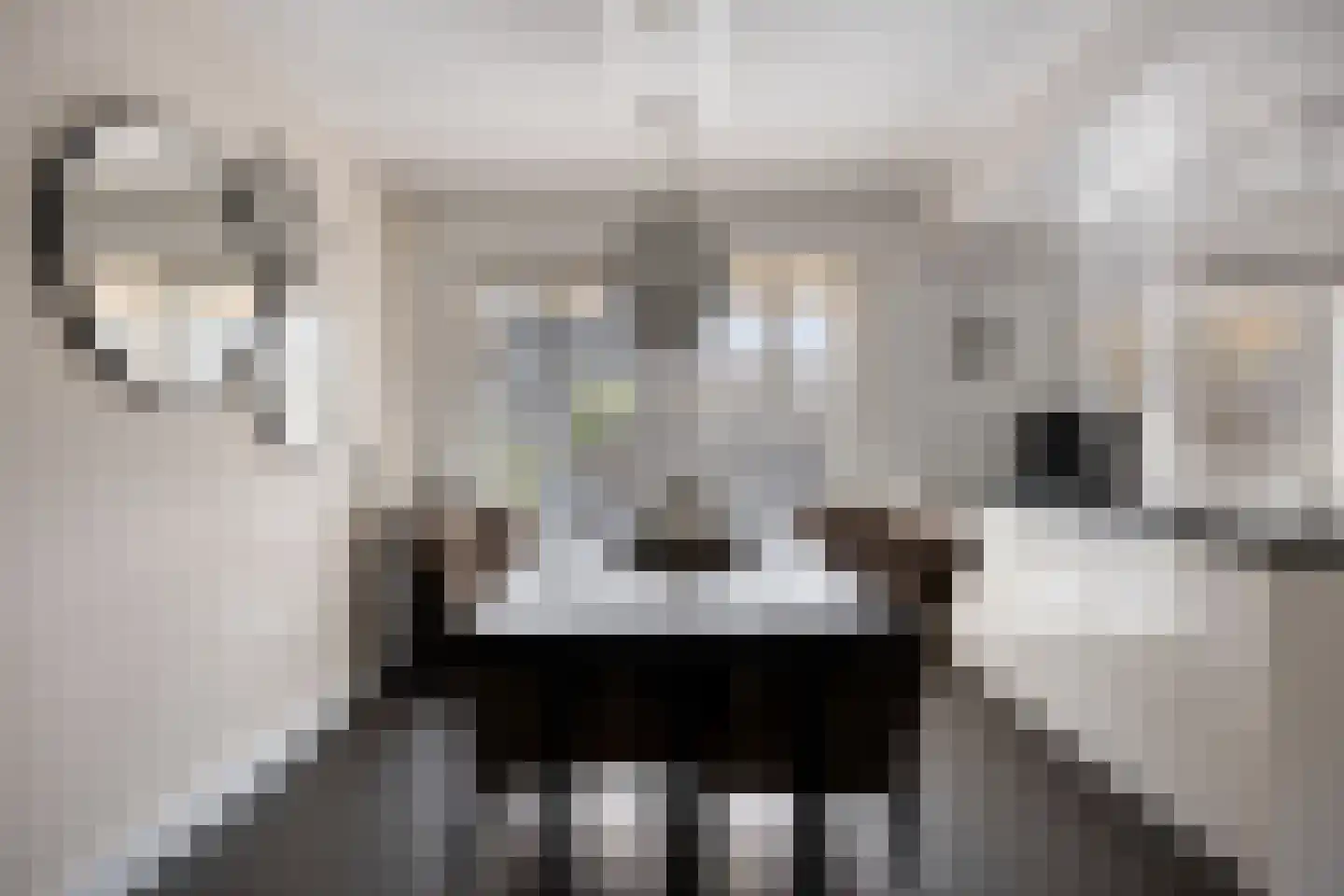 Samenwerking 27 Amsterdam thumbnail 8