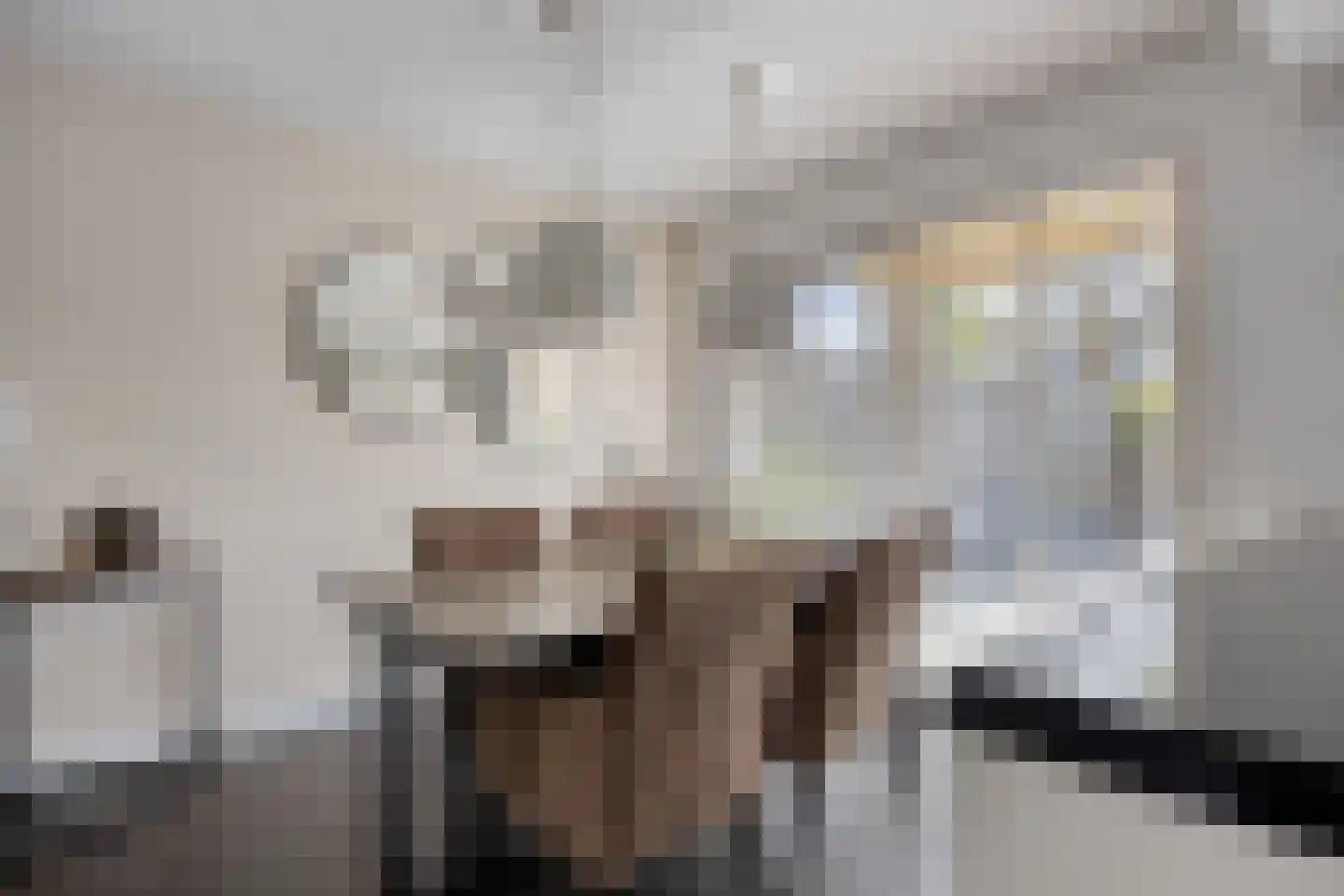Samenwerking 27 Amsterdam thumbnail 9