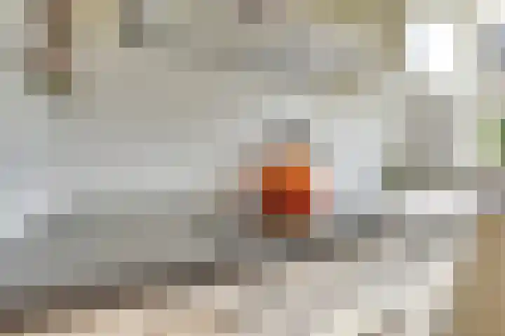 Samoas 13 Utrecht thumbnail 11