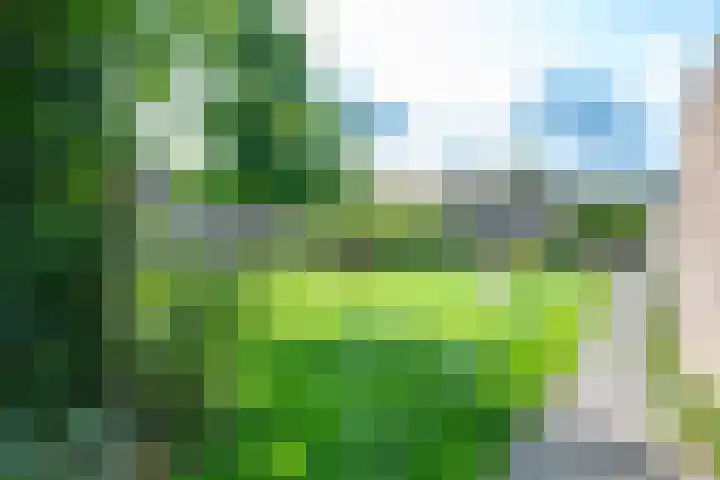 Samoas 13 Utrecht thumbnail 30
