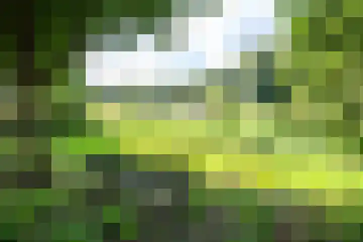 Samoas 13 Utrecht thumbnail 31
