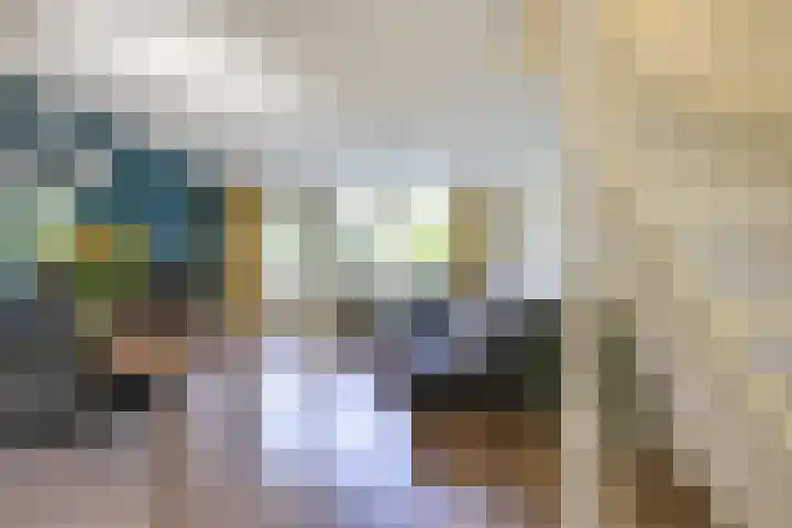 Samoas 13 Utrecht thumbnail 5