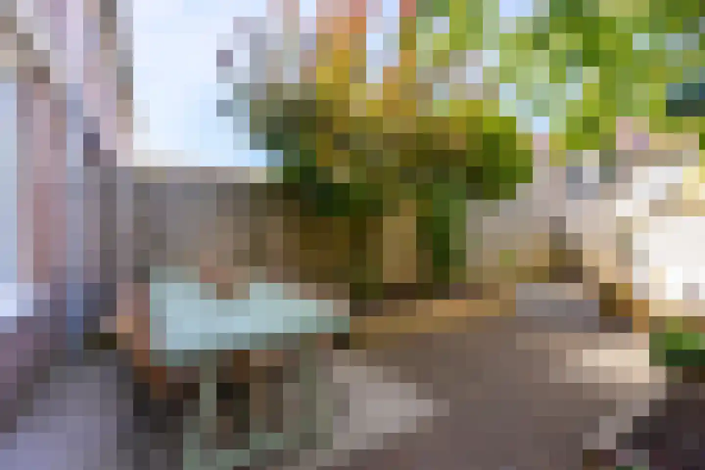 Samoas 15 Utrecht thumbnail 19