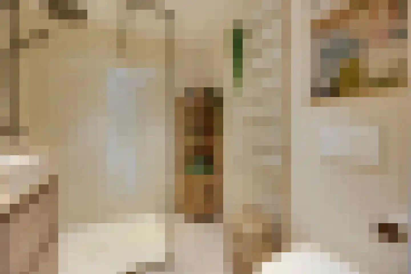 Samoas 15 Utrecht thumbnail 32