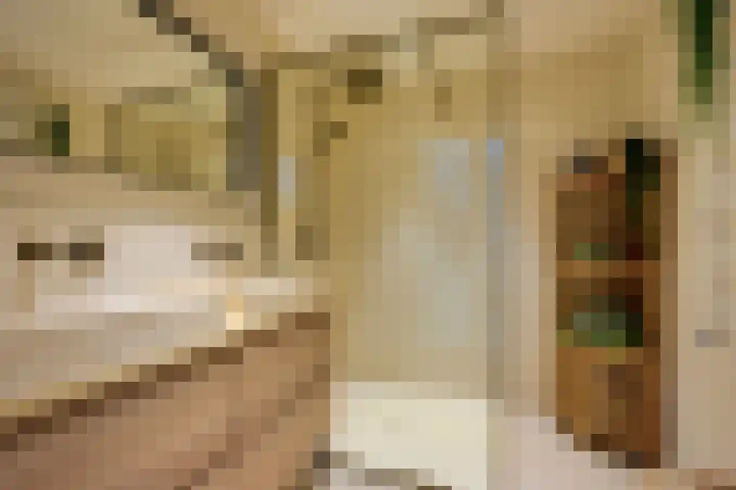 Samoas 15 Utrecht thumbnail 33