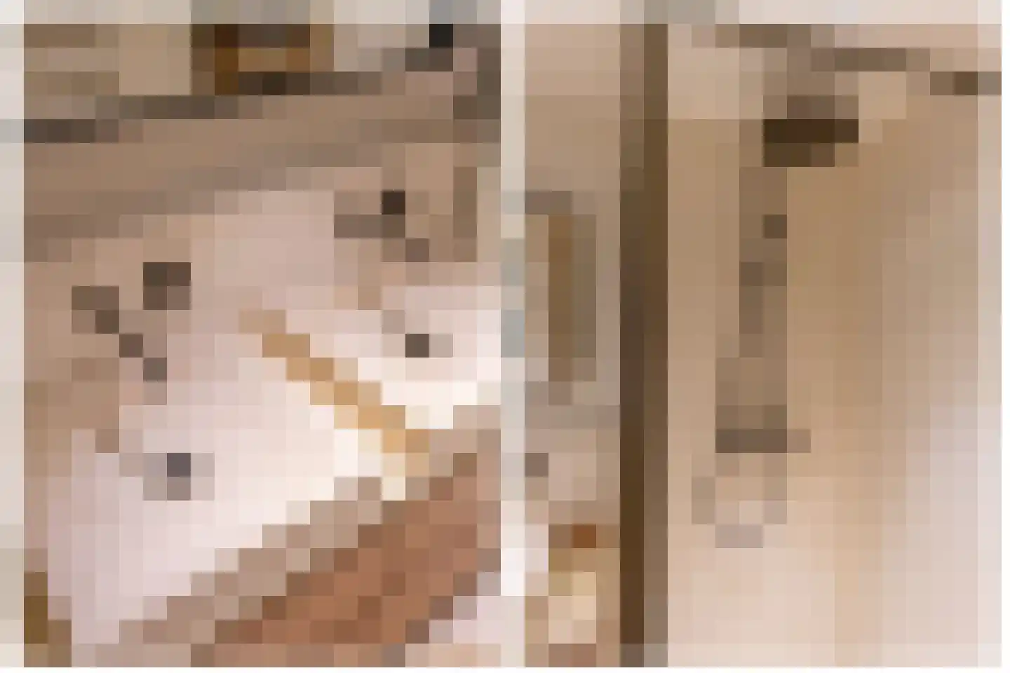 Samoas 15 Utrecht thumbnail 34
