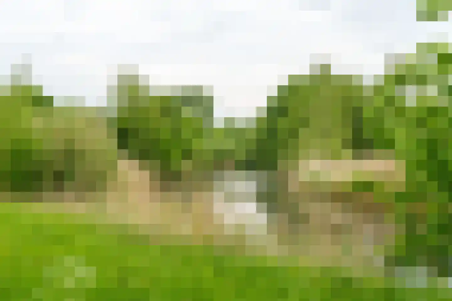 Samoas 15 Utrecht thumbnail 46