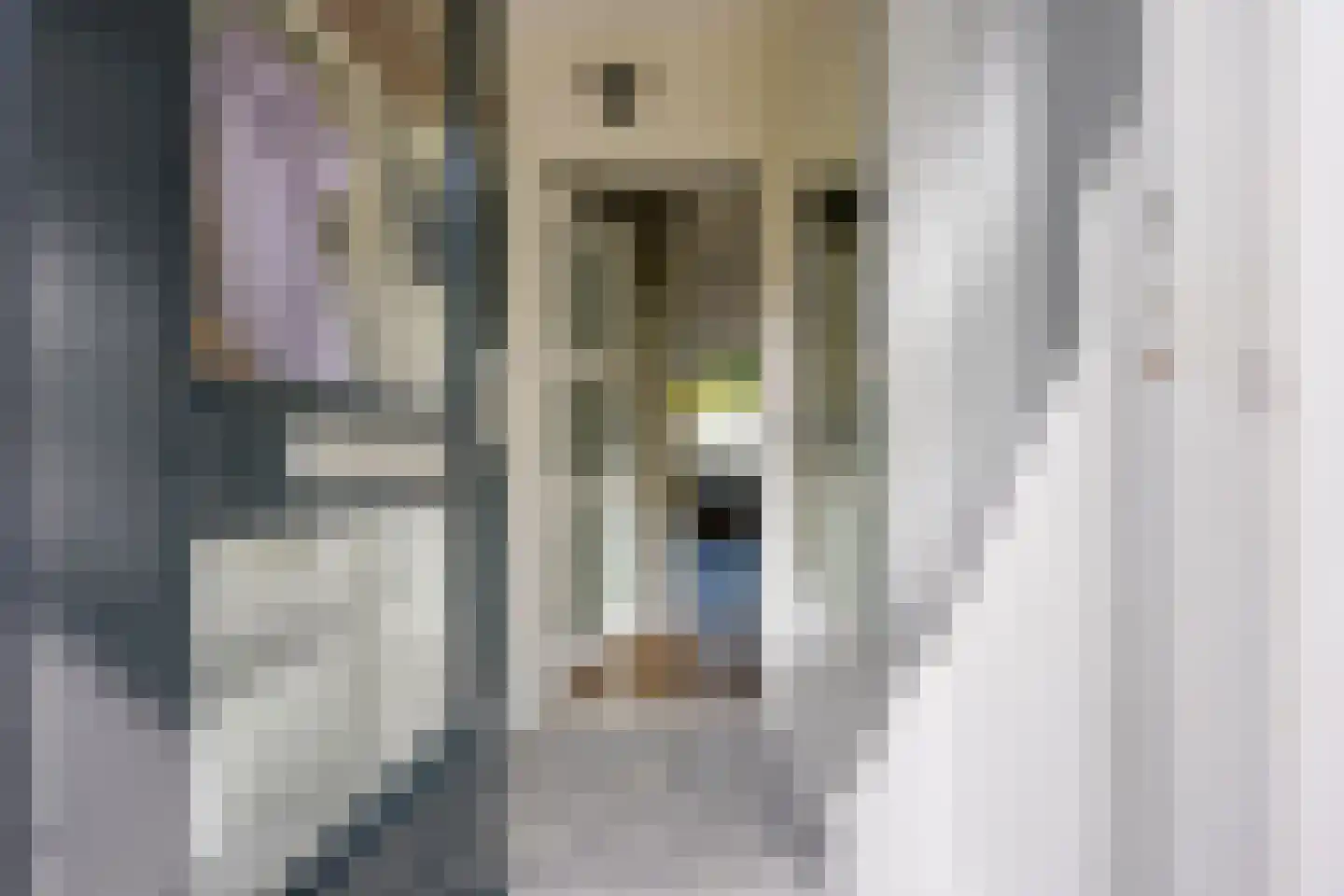 Samoas 15 Utrecht thumbnail 6