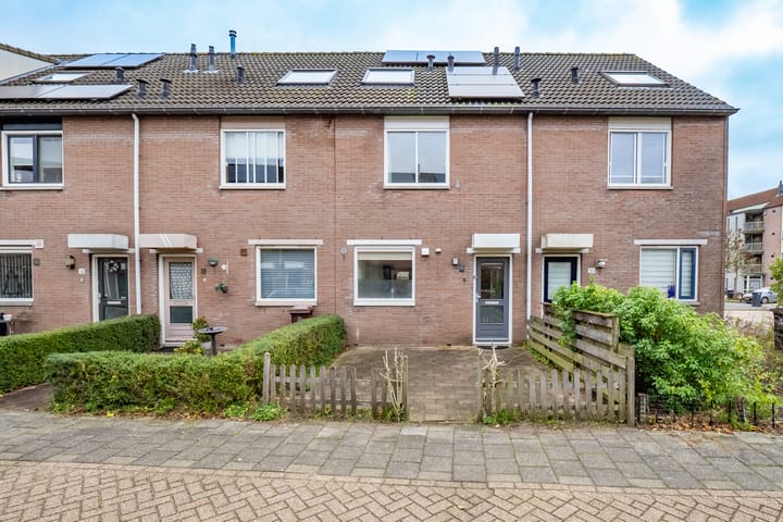 Samoas 20 in Utrecht