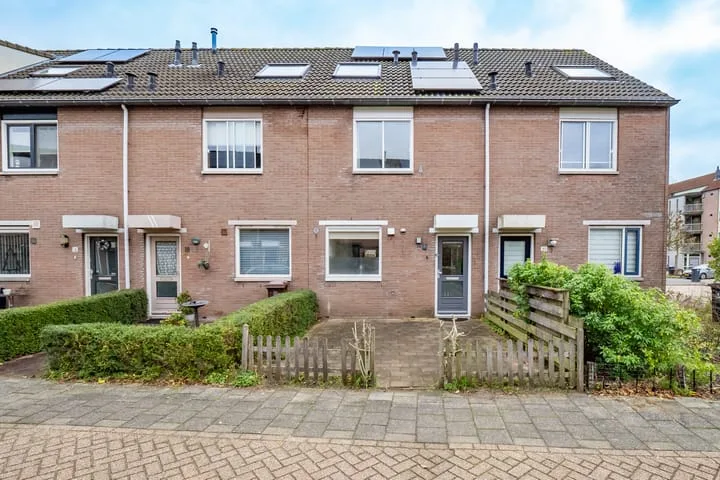 Samoas 20 in Utrecht