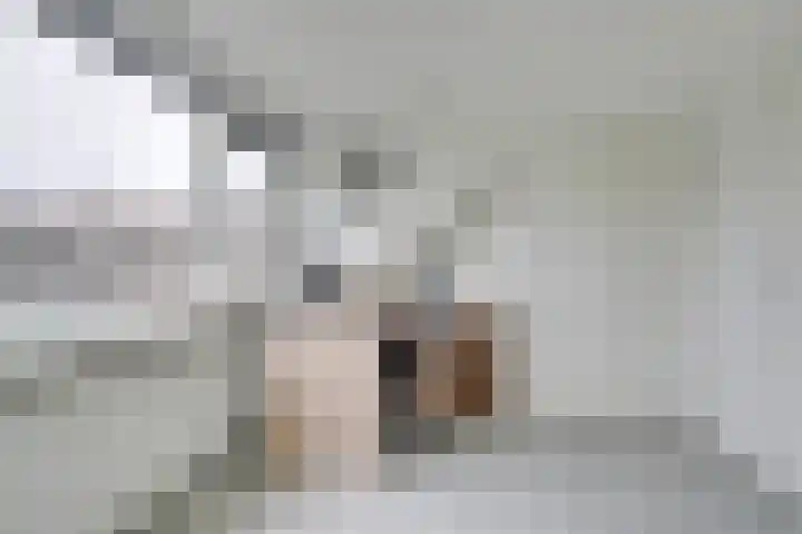 Samoas 20 Utrecht thumbnail 31