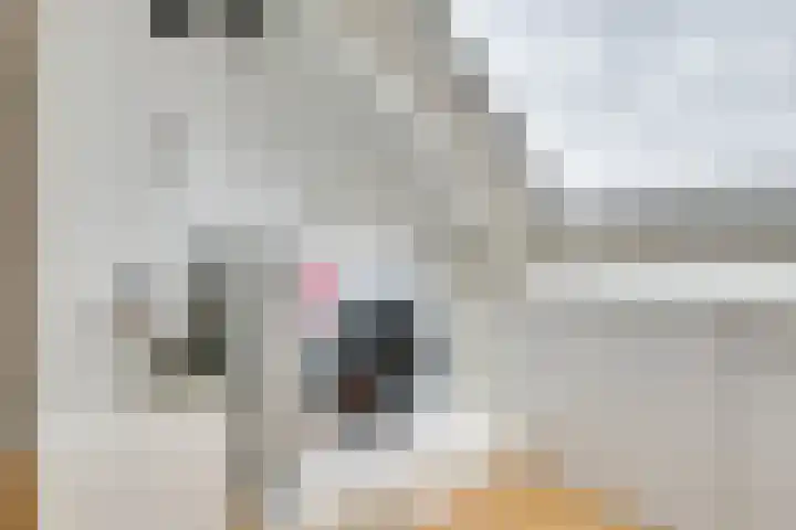 Samoas 20 Utrecht thumbnail 34
