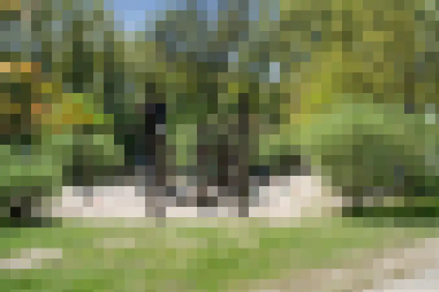 Samoas 21 Utrecht thumbnail 32