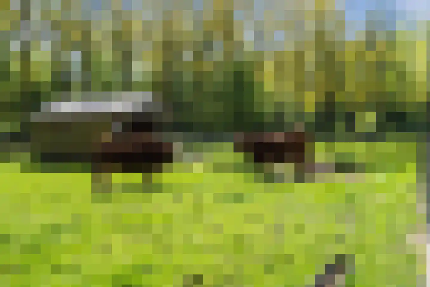 Samoas 21 Utrecht thumbnail 36