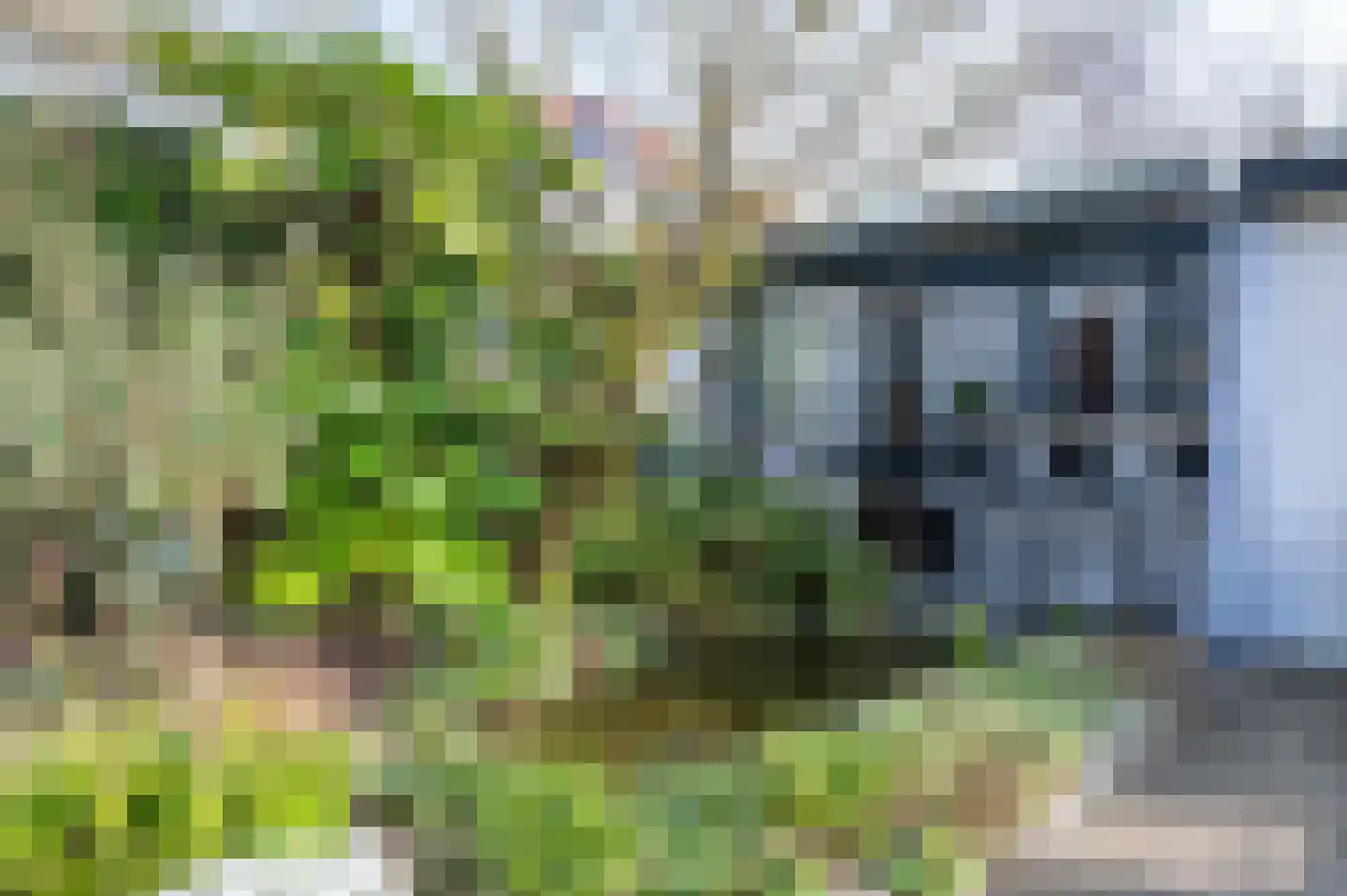 Samoen 13 Zeewolde thumbnail 45