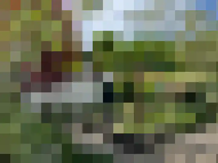 Samoen 13 Zeewolde thumbnail 61