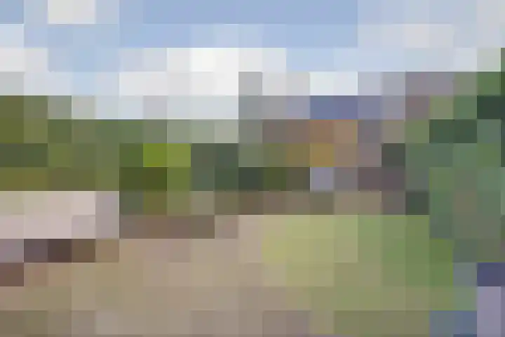 Samoen 17 Zeewolde thumbnail 30