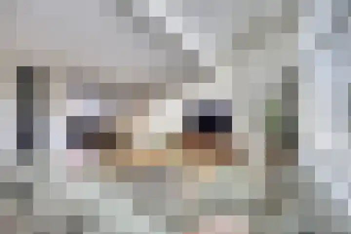 Samoen 17 Zeewolde thumbnail 7